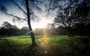 Sun Off Moon - Ashtead Park