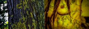 HANGING OUT – IN NATURE 9