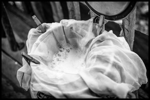 Sifting the fresh milked milk.