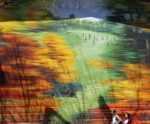 A Walk in the Park