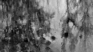 Reflection 4