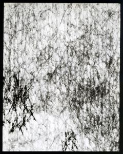 Vlies VIII - from the series "IT'S POSITIVE TO BE NEGATIVE"