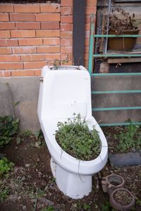 TOILET IN THE GARDEN