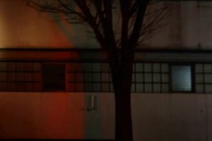 If I wasn't always here