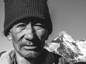 The Himalayas