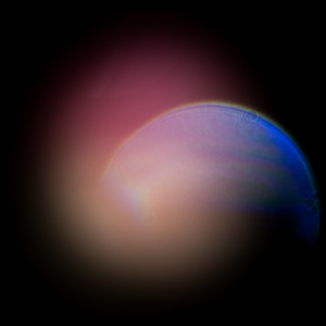 New Worlds 9
