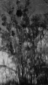 Reflection 3