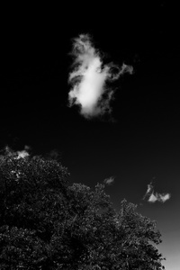 Cloud #002