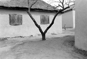 Andoabatanomby, 1996