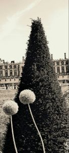 Saint-Germain-en-Laye 3