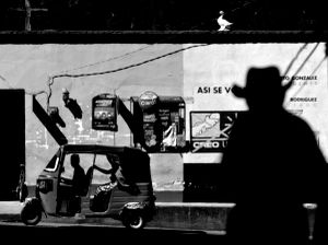Silhouette Strangers