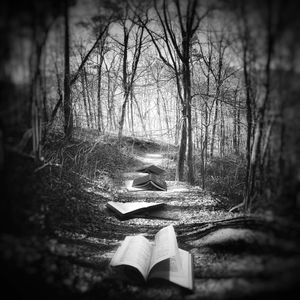 Open Book