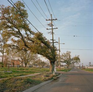 Untitled 03-08                                      ©2008 Colleen Mullins