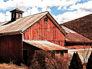 Farm near Roxbury, NY