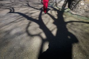 Branches