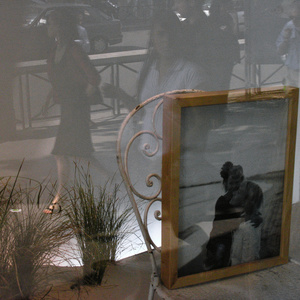 Window. Bd.Haussman. Paris.2007