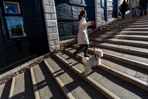 Street Fauna 8 - Dog [2]