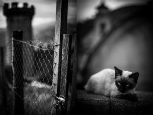 © Andreas Kaiser