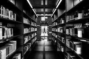 Through the Knowledge