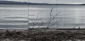 © 2014 Nicholas Adam Wojtas. All Rights Reserved