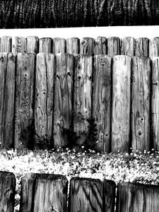 Wooden Posts and Grass 3