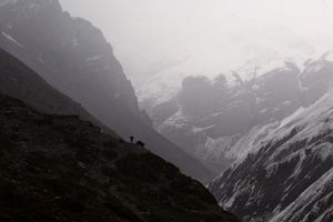 Thorong Phedi