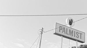 San Luis Obispo Palmist