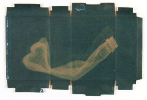Crushed Soda Bottle