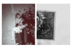 Object impermanence #1
