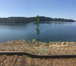 Rail, Tree, Water, Sky
