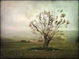 Autumn in Italy