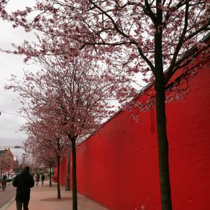 The Sensible: Impressions from Copenhagen #7