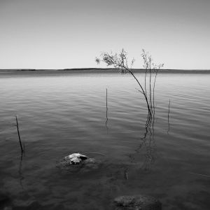 Beside the water II