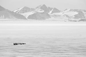 Into the White