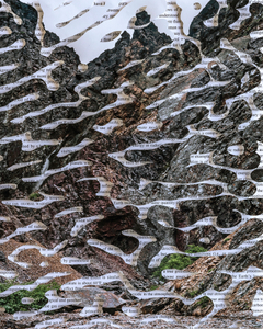 Impression XVI