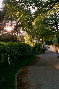 In My Hood #10