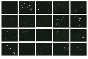 Supercluster Arion, 2012-13; unique silver gelatin prints mounted to anodized aluminum; 20 panels; each panel 11 x 14 in.© DM Witman