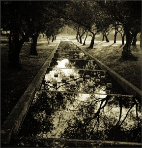 gardenscape