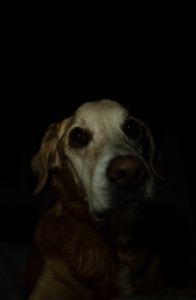 Friend
