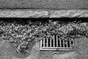 6. Down the drain