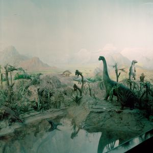 Plastic dinosaurs on display, exhibit room