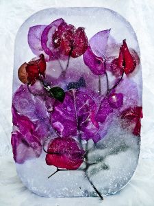 Cold III