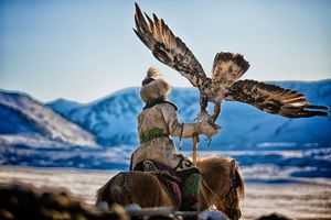Eagle Hunter Aigerim CO119