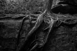 "Untitled," from the REACH portfolio by RS McWherter.