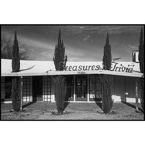 'Treasures Trivia' 1981