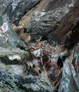 Amalgamated Fragmentations/ Assimilation 4