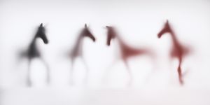 Wild-blur-horses-07.jpg