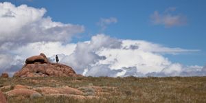 Nomad Herders
