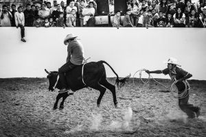 © Francisco Alcala Torreslanda