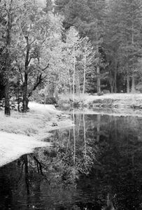 Mirror Lake